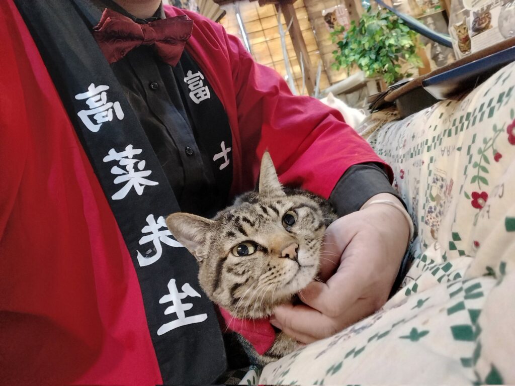 撫でられる高菜先生